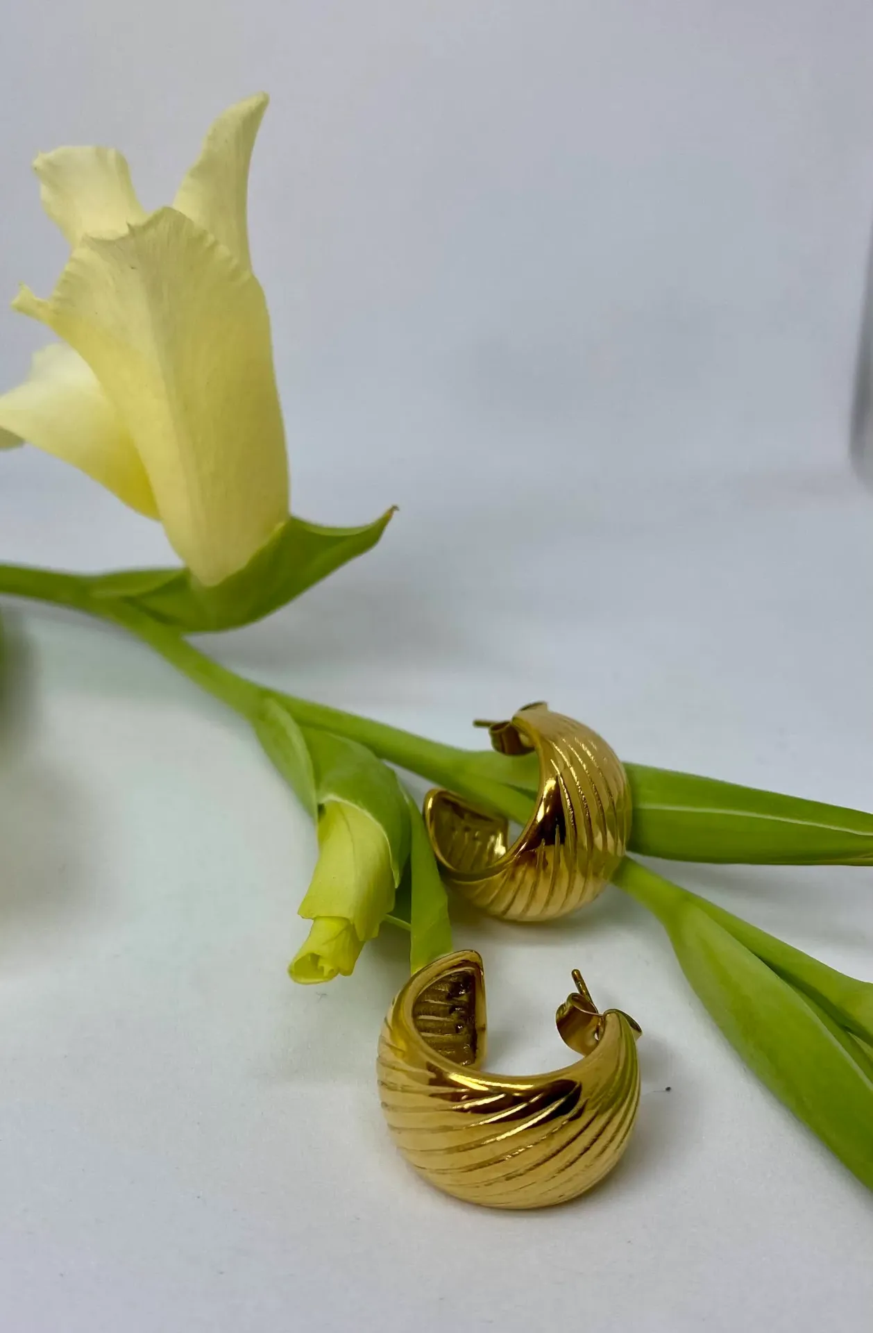 [A1077] ARGOLLAS DIANA