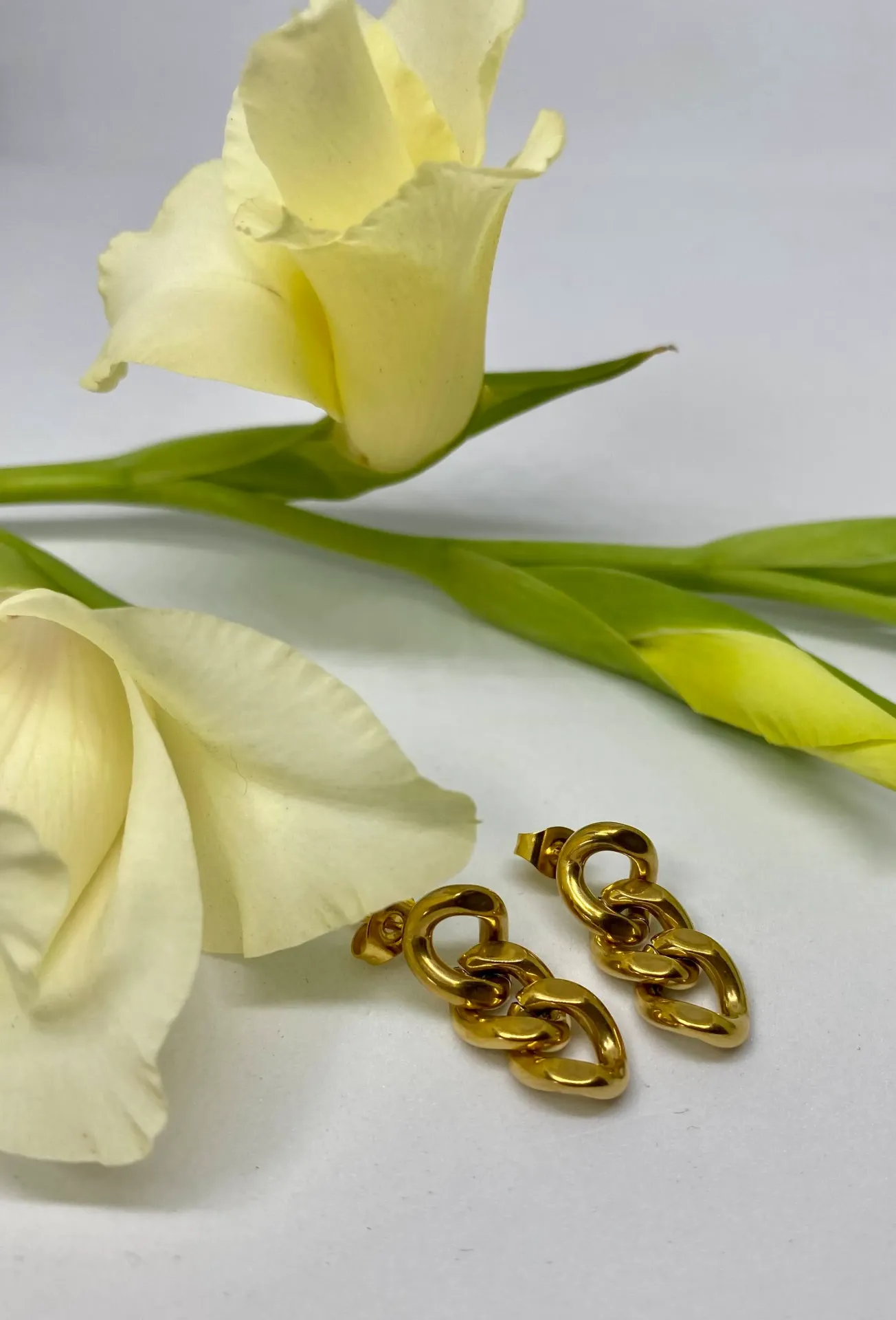 ARETES CADENA